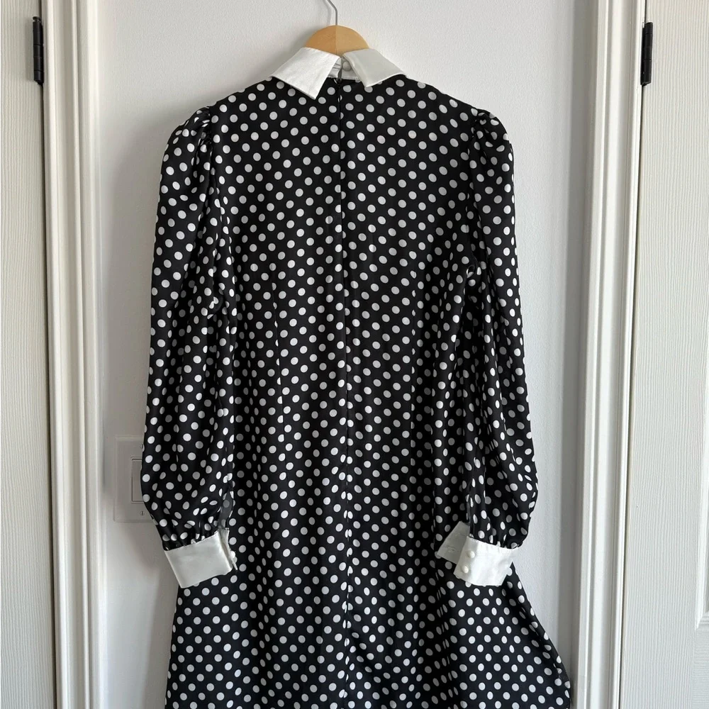 Black and White Polka Dot Dress - Picture 3 of 3